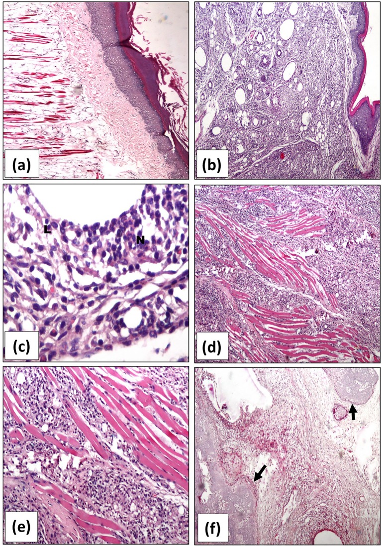 Fig 5