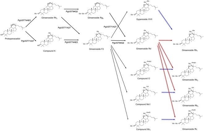 Figure 7