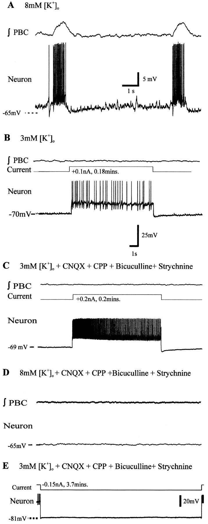 Fig. 9.