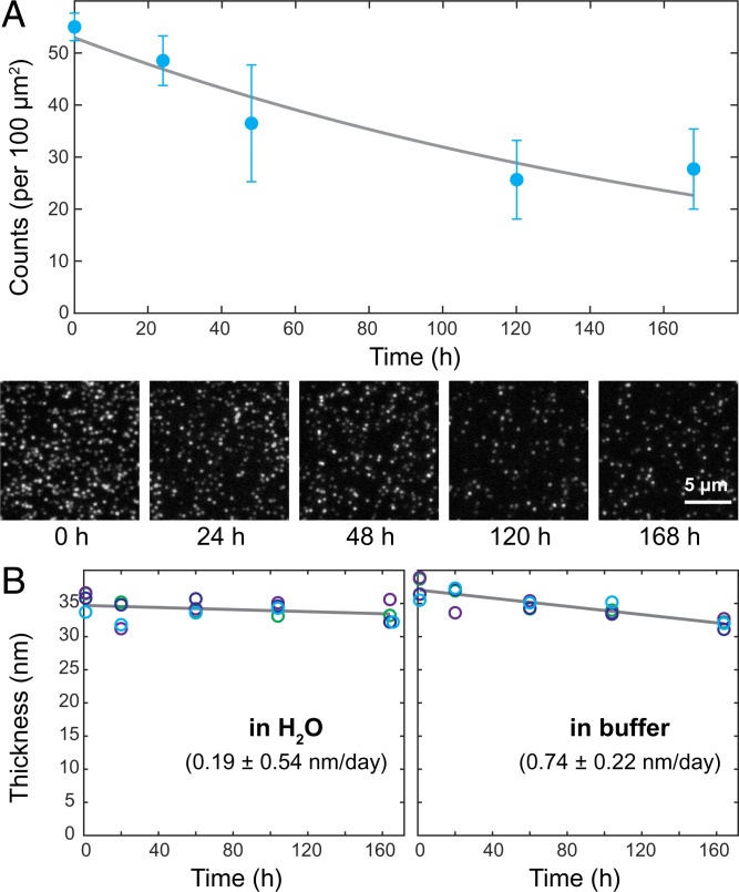 Fig. 3.