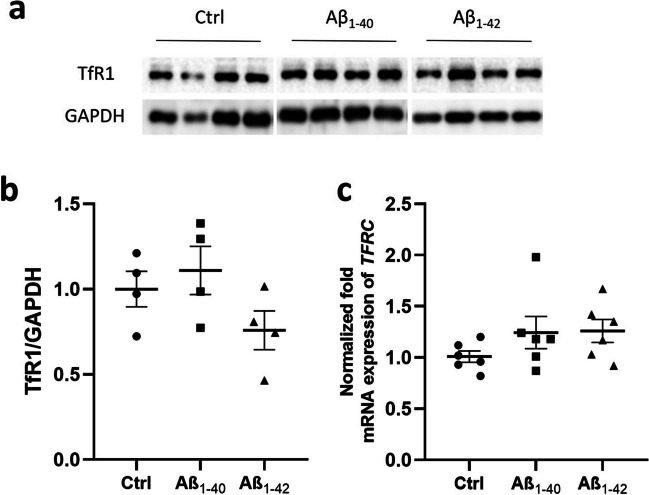 Fig. 4