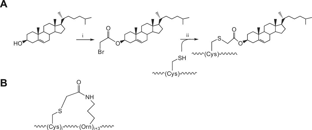 Scheme 1