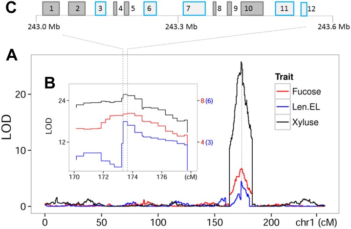 Figure 7.