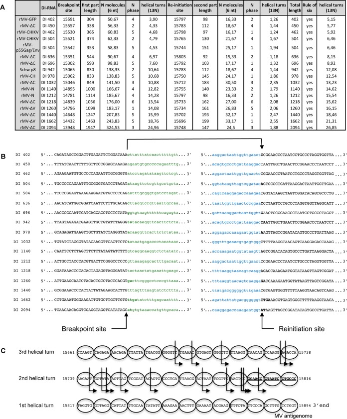 FIG 3