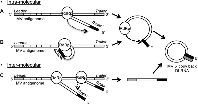 FIG 10