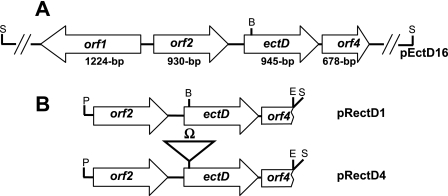 FIG. 5.