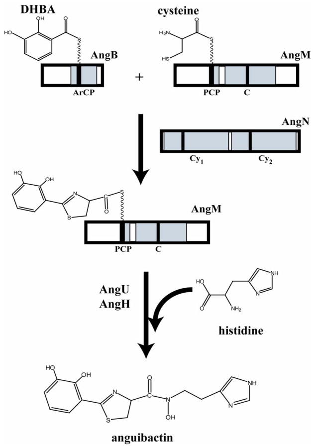 Fig. 7