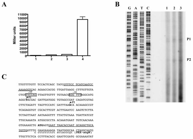 Fig. 5