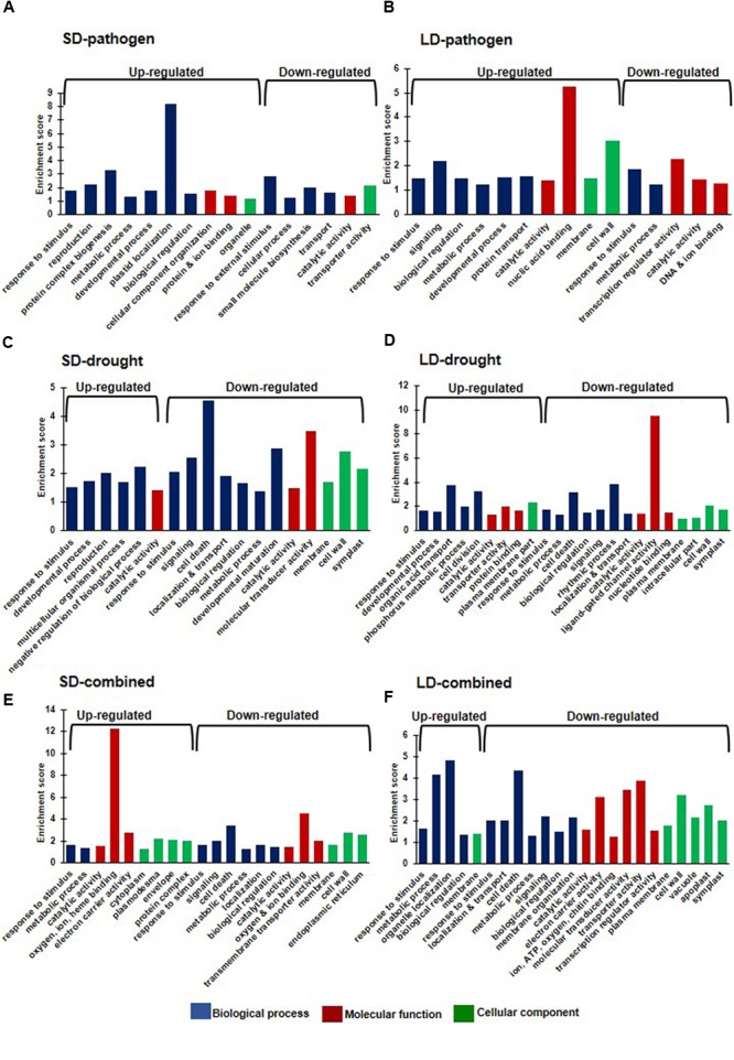 FIGURE 4