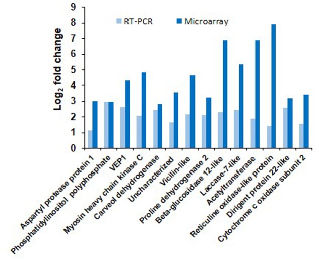 FIGURE 3