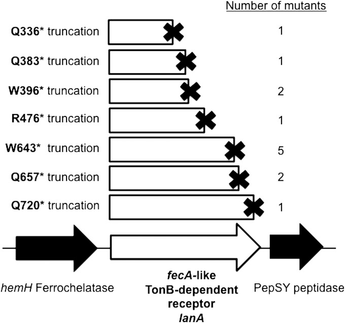 FIG 2