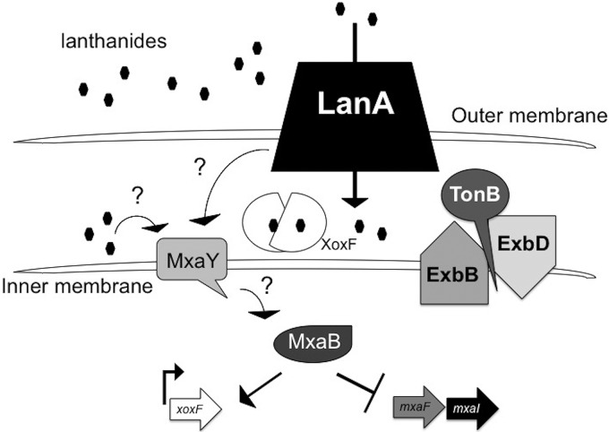 FIG 6