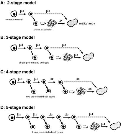 Fig 1.