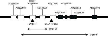 Figure 12.