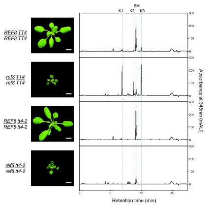 Figure 5.