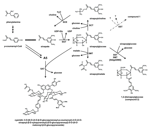 Figure 10.