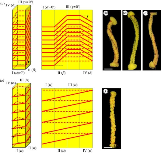 Figure 6.