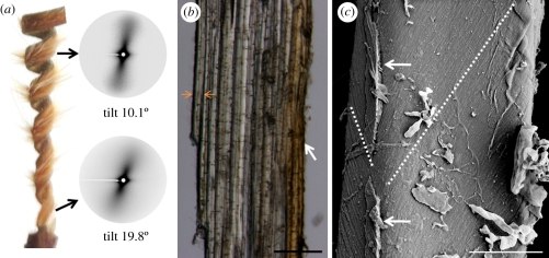 Figure 4.