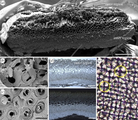 Figure 2.