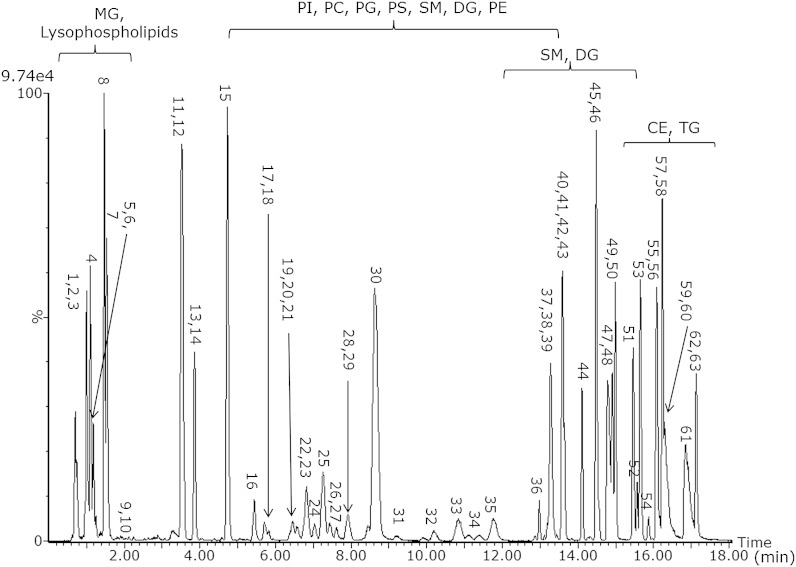 Fig. 1.