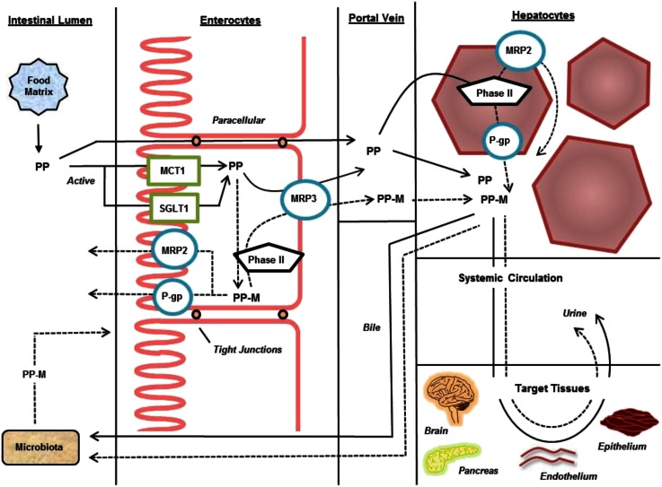 FIGURE 2