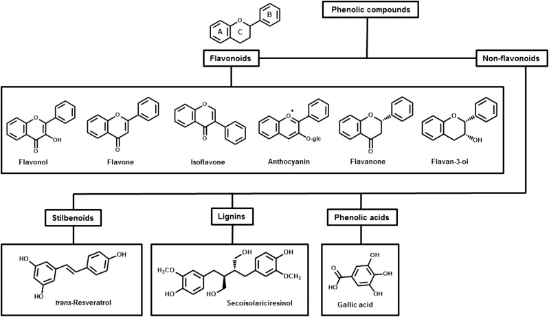 FIGURE 1