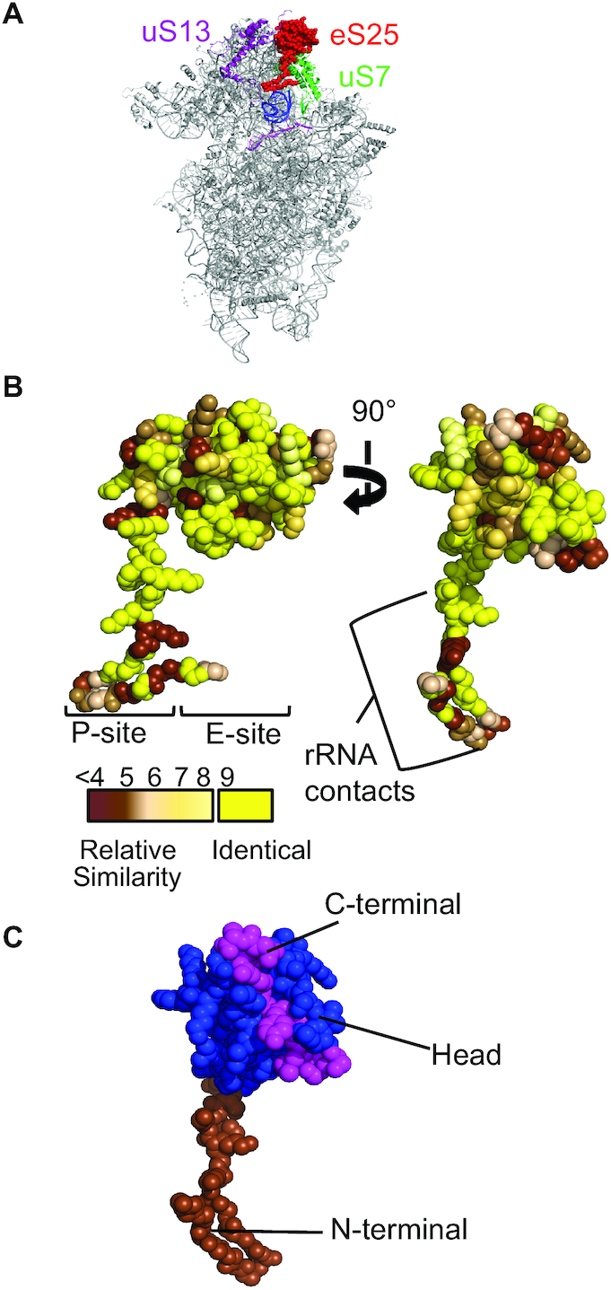 Figure 2.