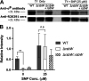 FIG 6