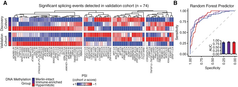 RNA splicing events are used to classify meningiomas into DNA-methylation groups.