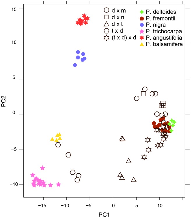 Figure 9