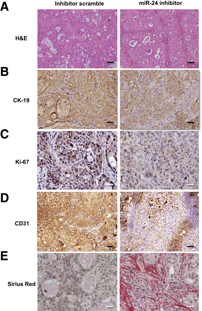 Figure 7