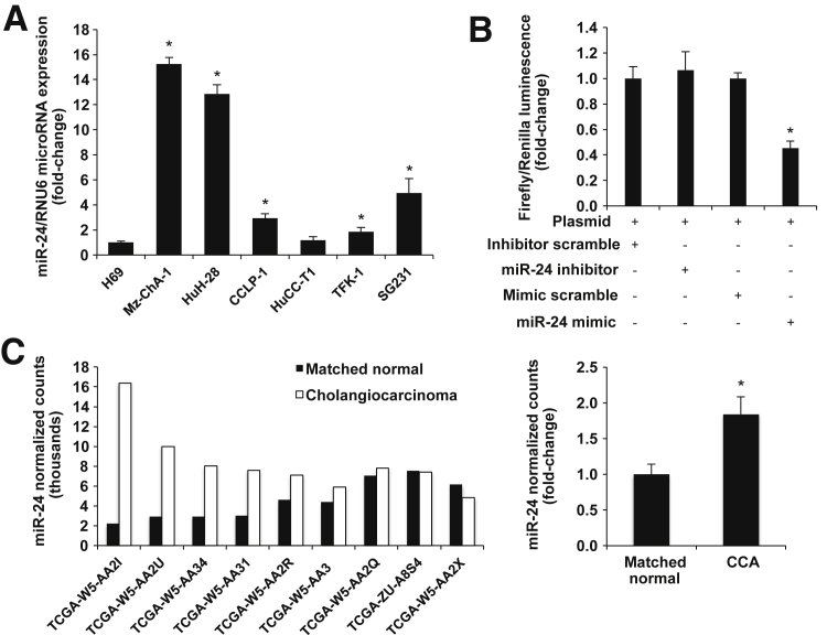 Figure 4