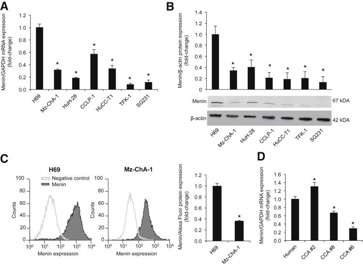 Figure 1