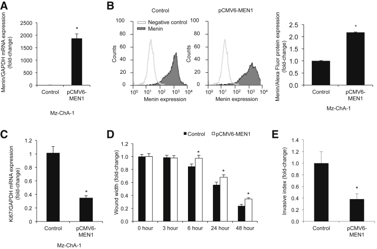 Figure 2