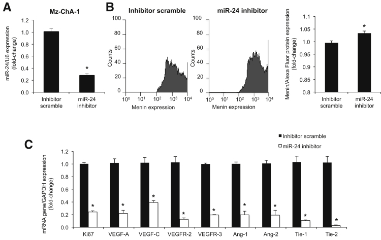 Figure 5