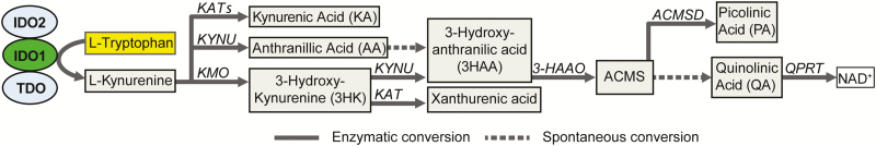 FIGURE 1.