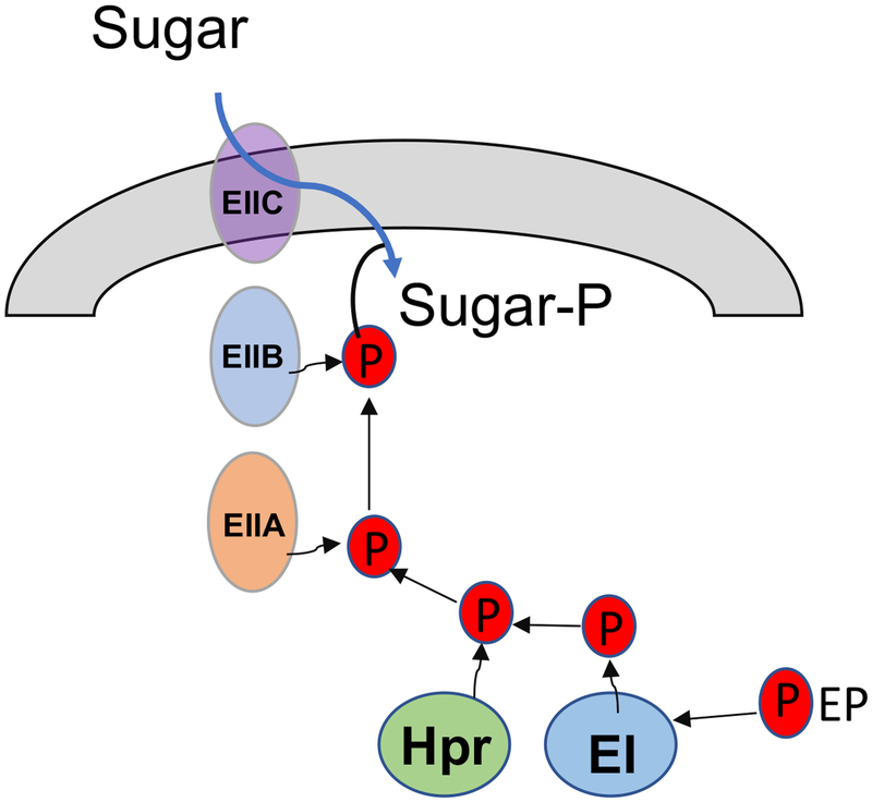 Figure 3.