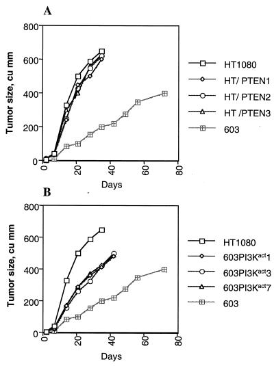 FIG. 10