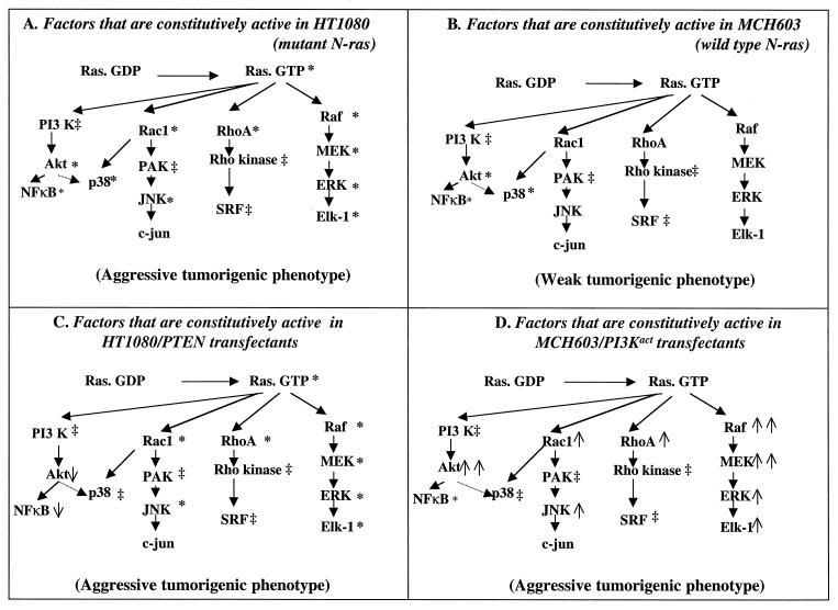 FIG. 11