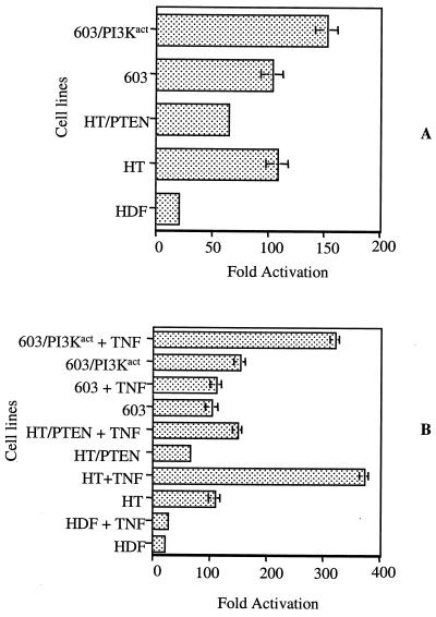 FIG. 6