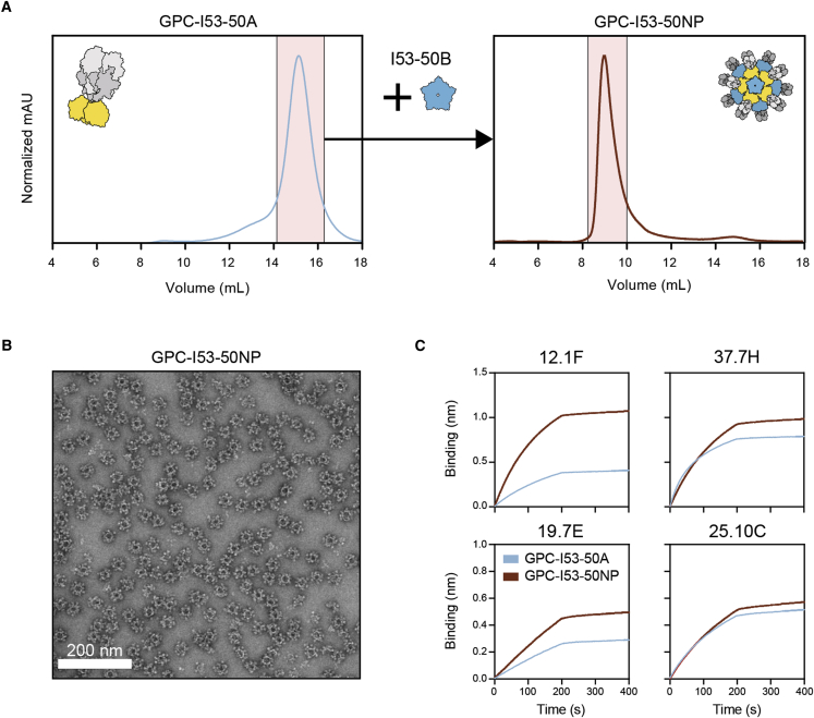 Figure 2