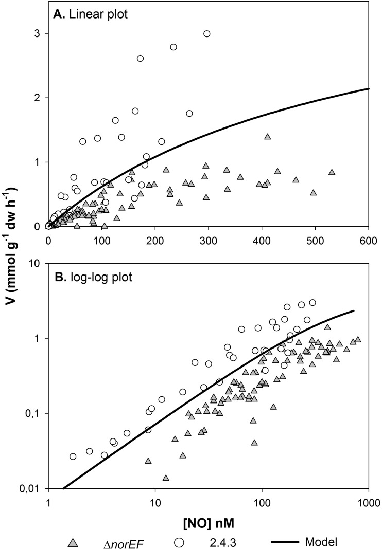 FIG 5