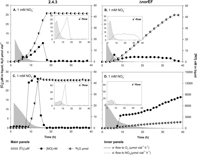 FIG 1