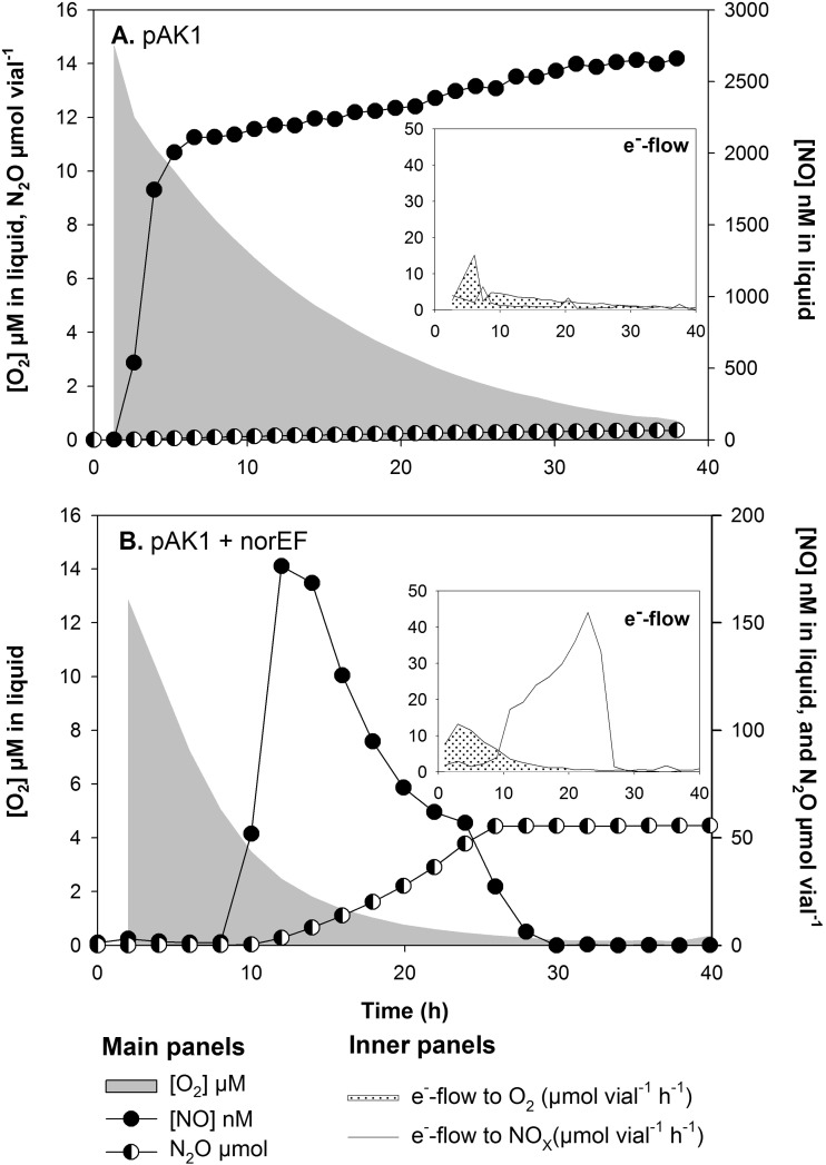 FIG 2