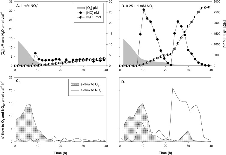 FIG 6