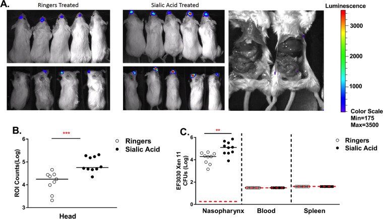 FIG 2