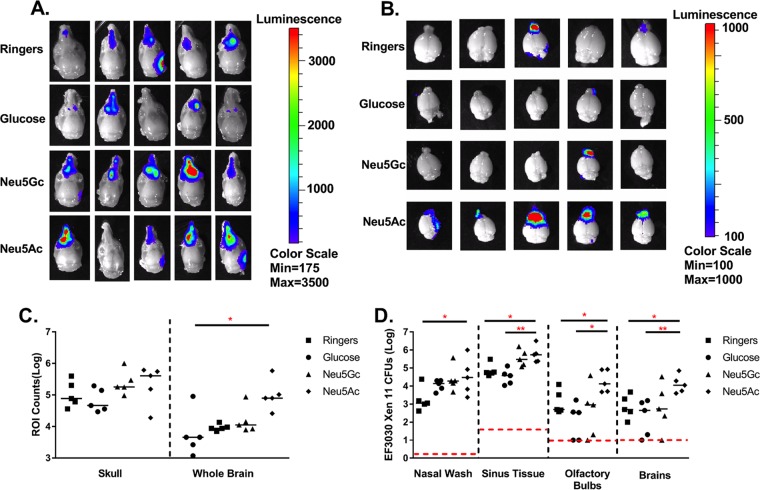 FIG 3