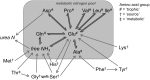 Fig. 2