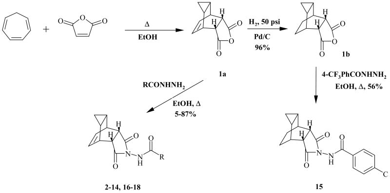 Scheme 1