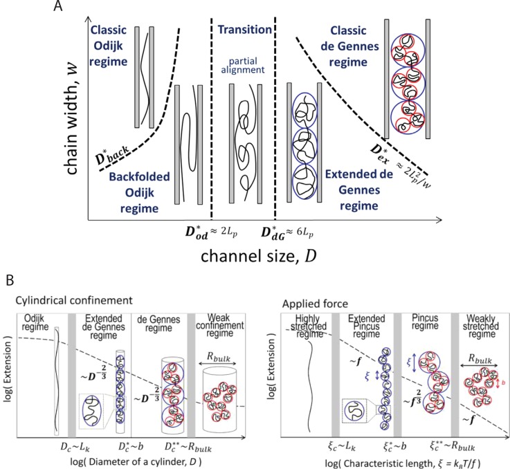 FIG. 9.